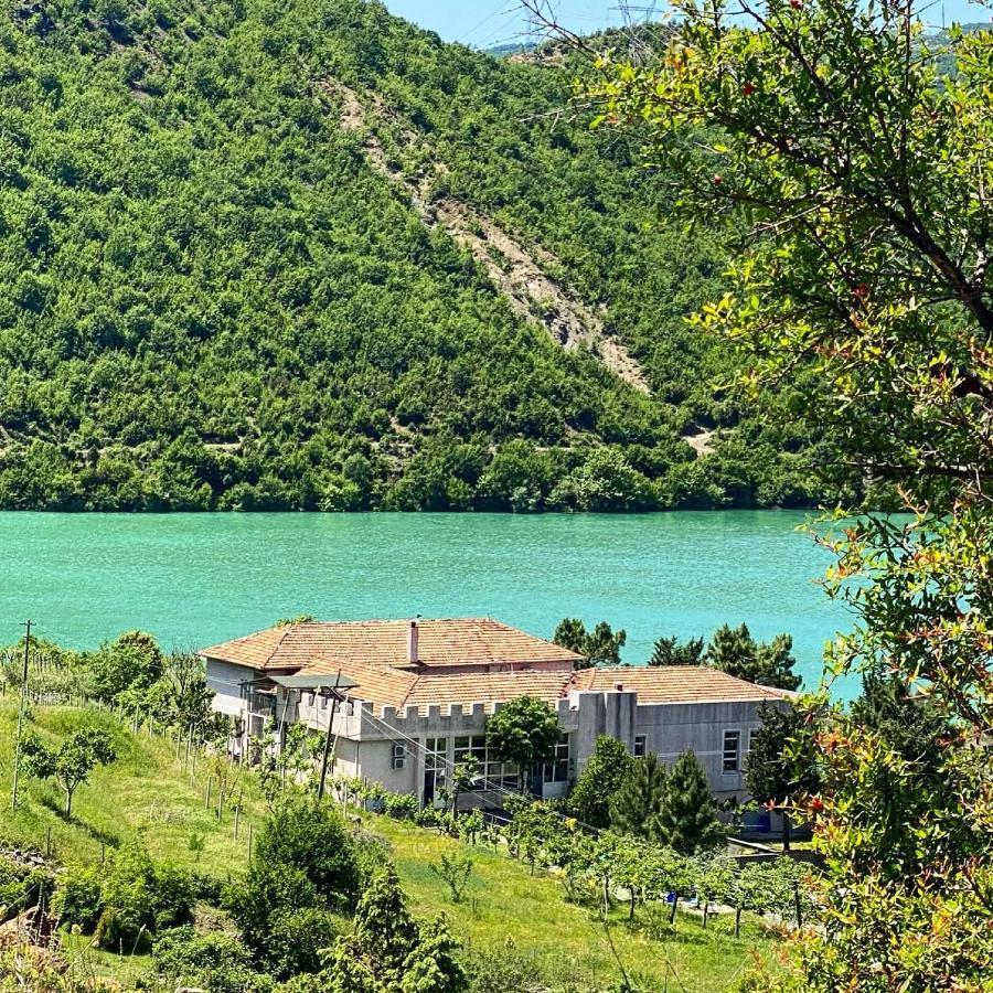 Agroturizem Hotel Vila Franceze Koman Exterior foto